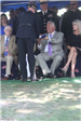 Photo of flag presentation to family of Ralph Bennett