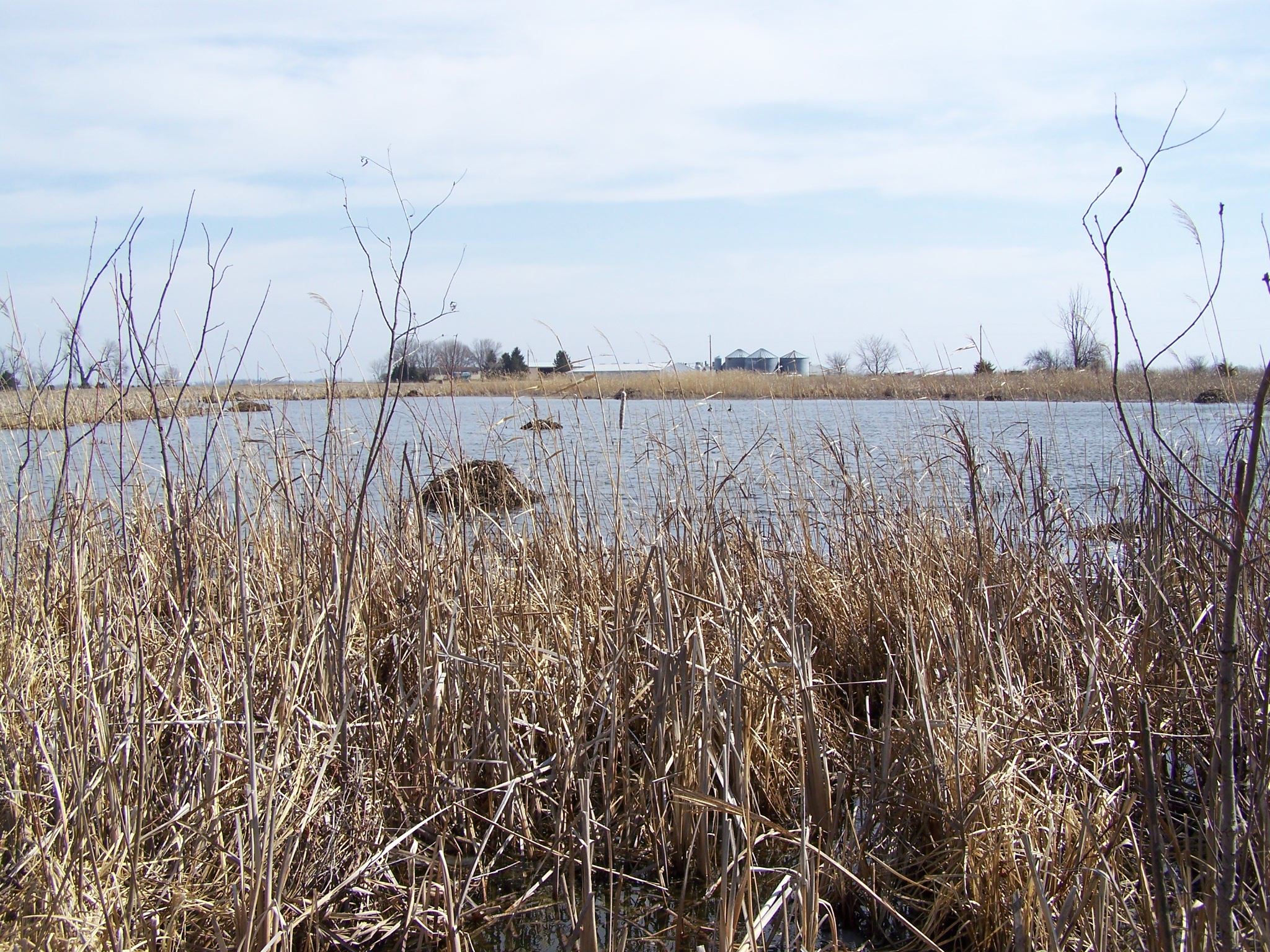 Cooper's Prairie Marsh