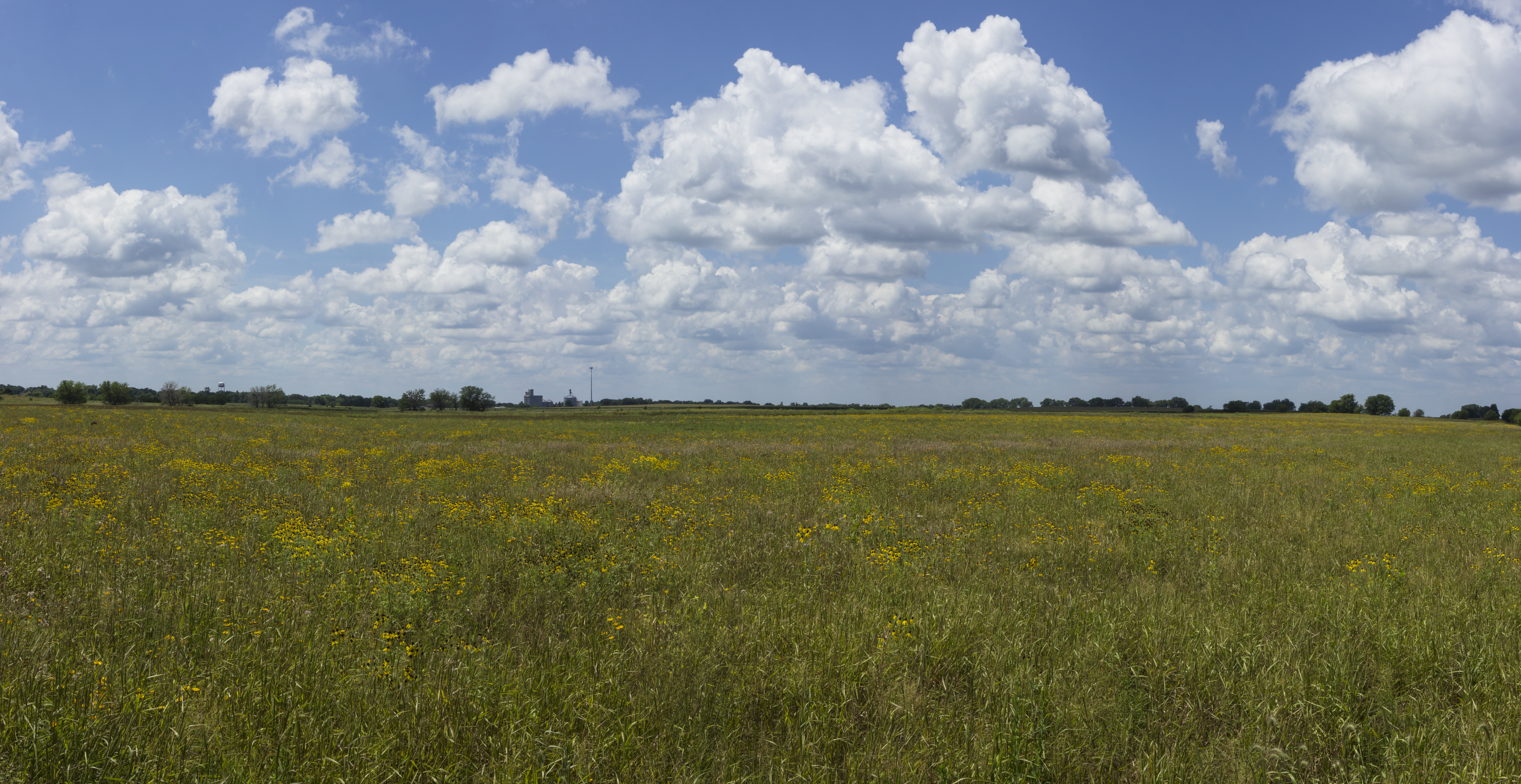 Roland Wildlife Area