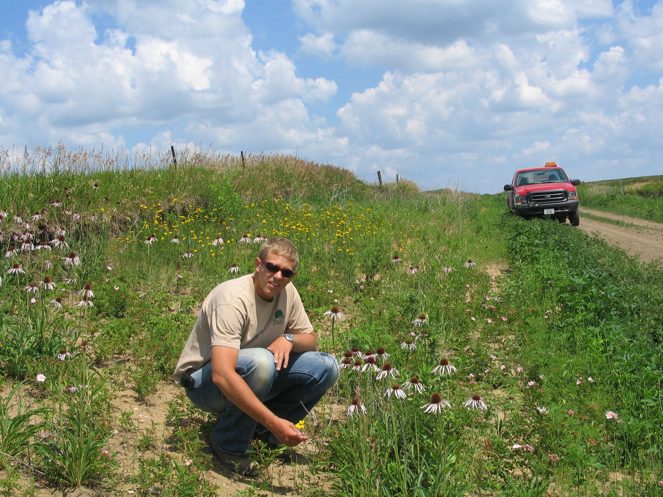 Erik Sytsma with coreopsis at remnant prairie 2006