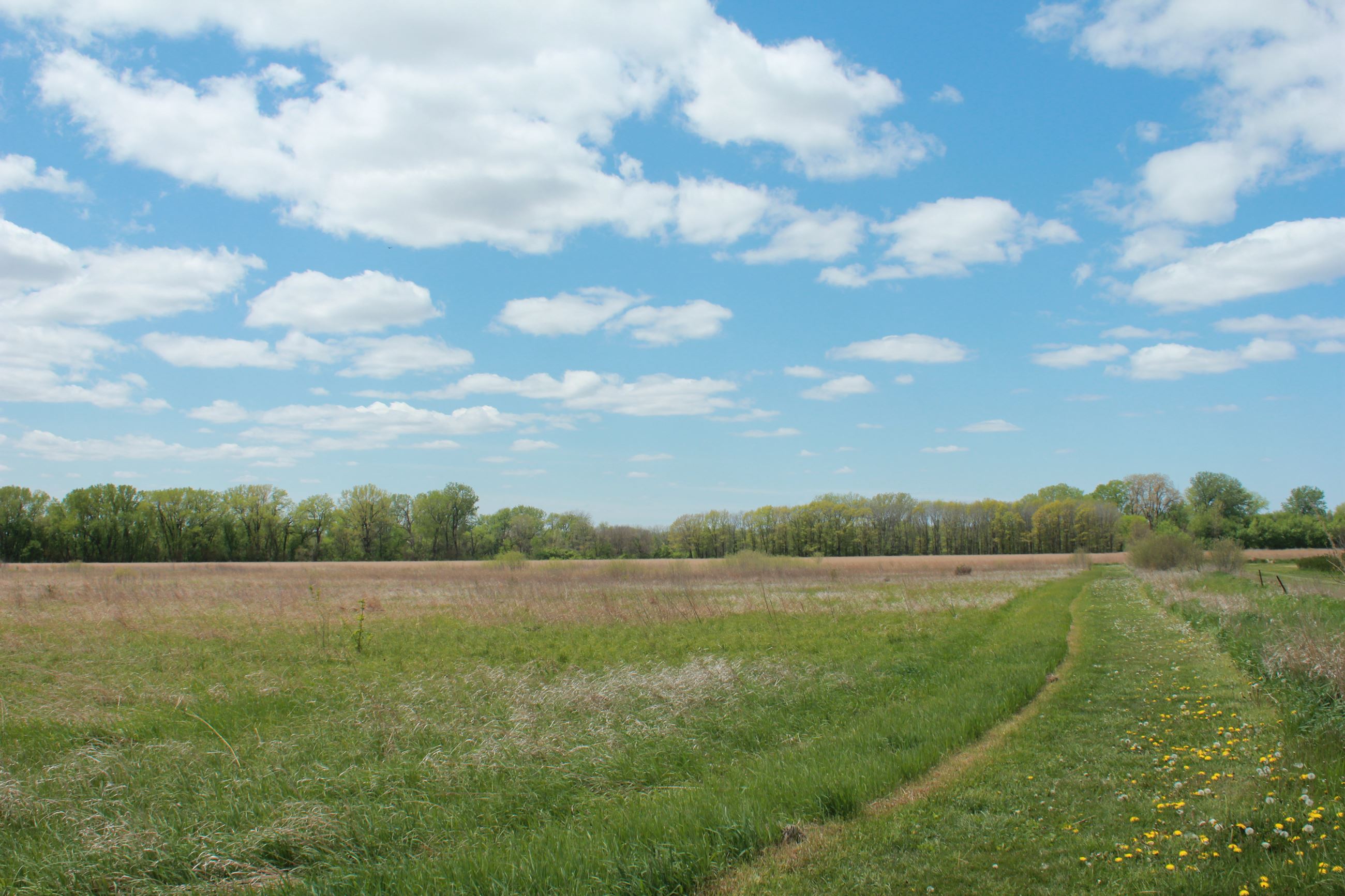Skunk River Flats prairie
