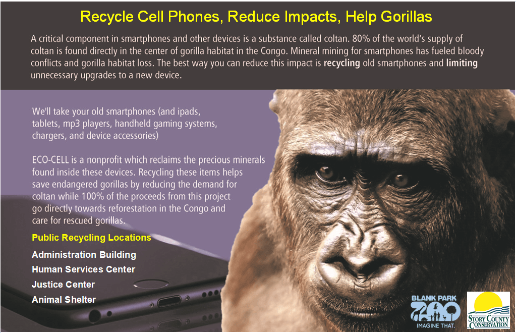 recycle cell phones