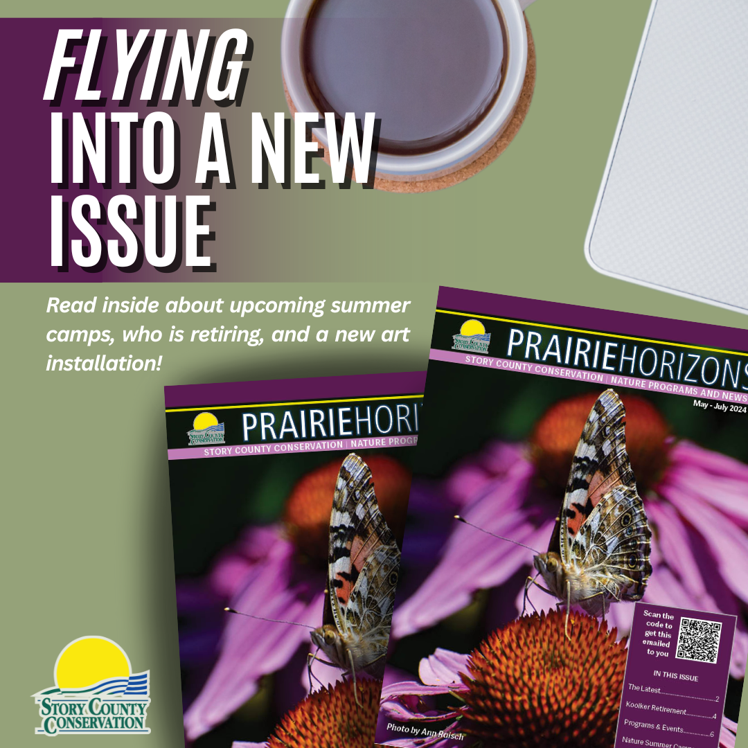 Summer Prairie Horizons Newsletter cover 2024