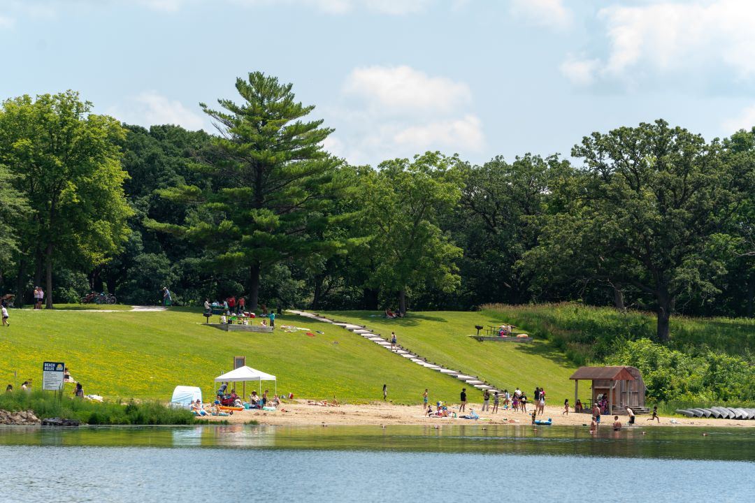 Park users enjoy lake beach during summer
