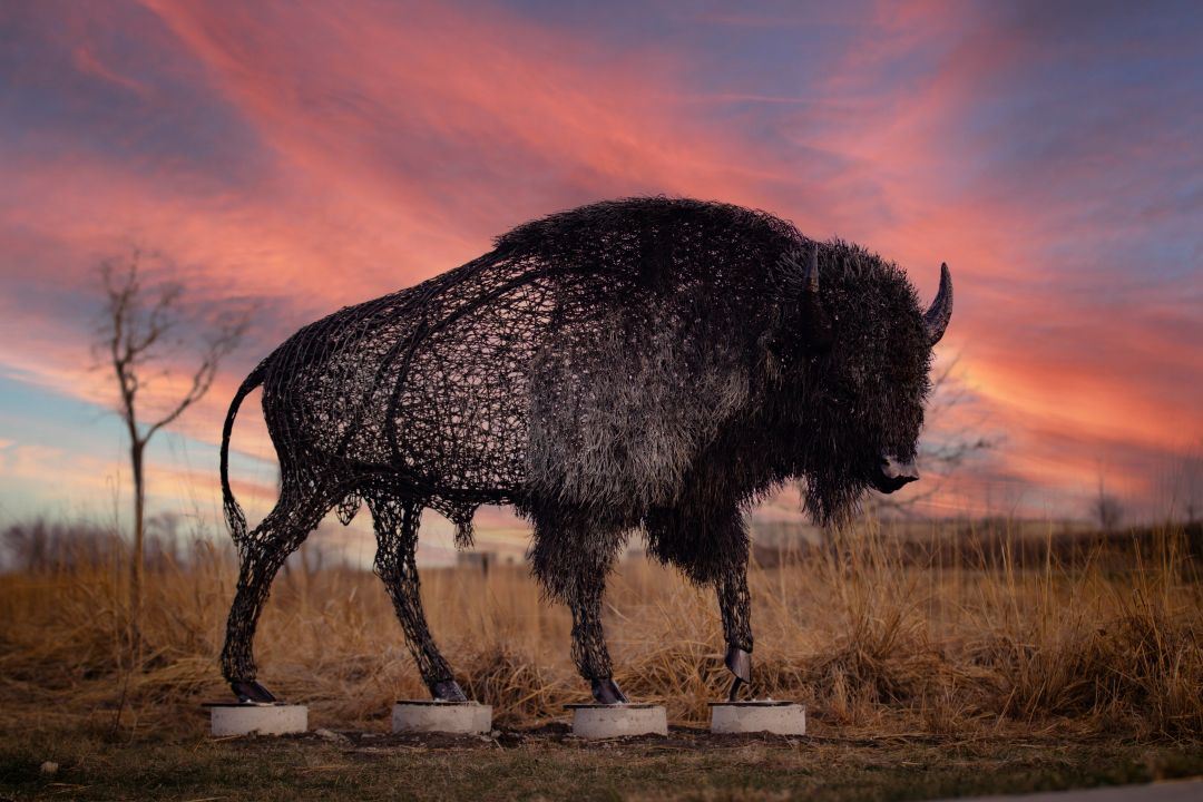 Metal bison sculpture with sunset