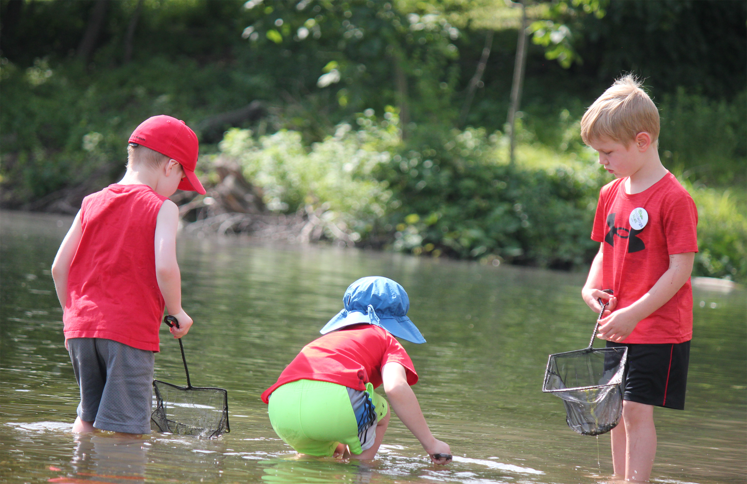 Campers play in stream with nets
