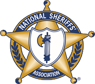 NSA Logo-no background.png