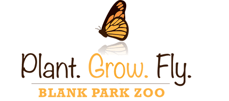PlantGrowFly Opens in new window