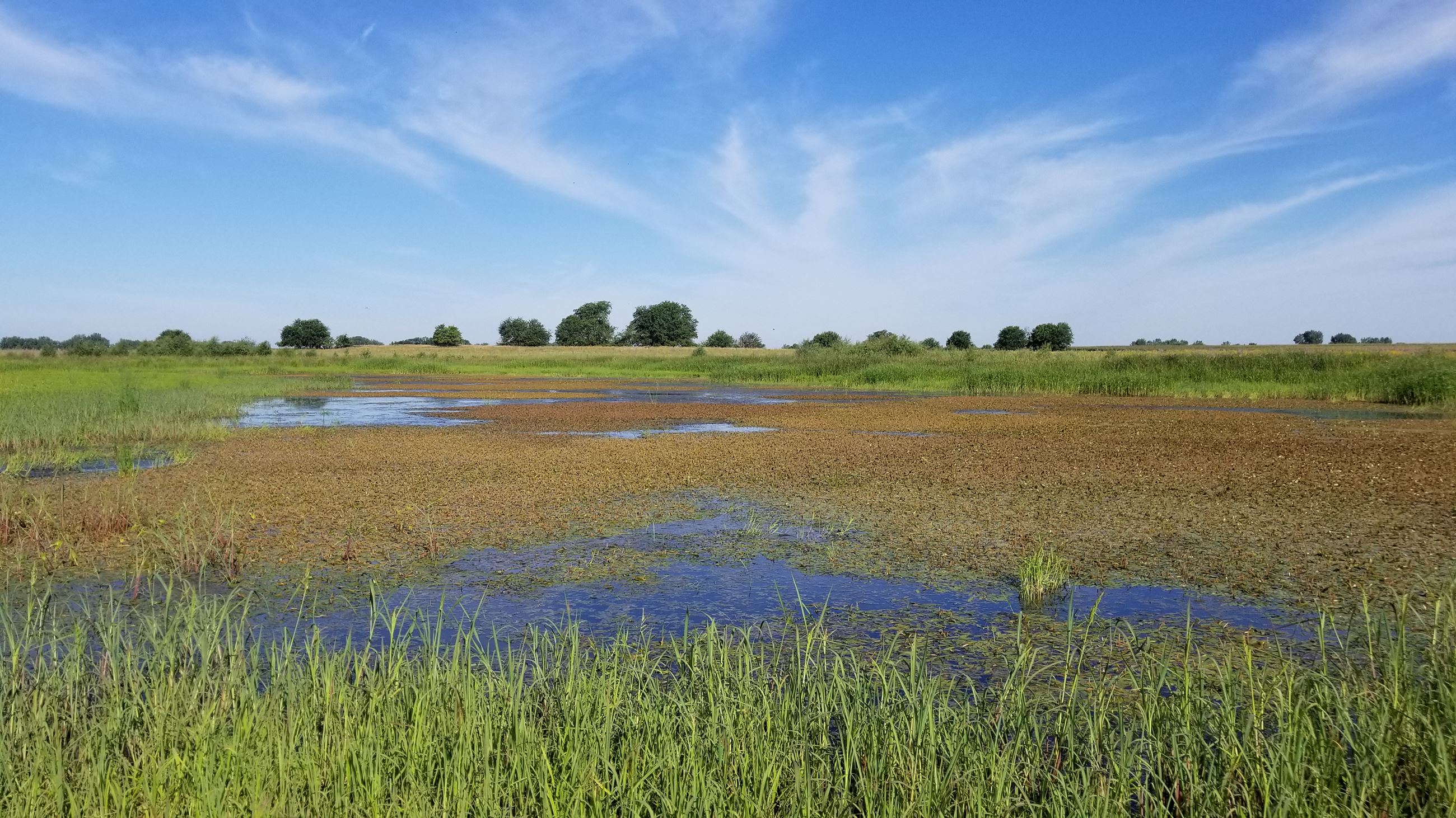 Roland Wildlife Area
