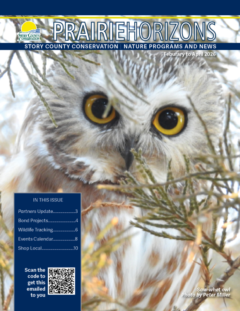 Saw-whet owl with large, beady black eyes is cover photo of new Prairie Horizons thin newsletter